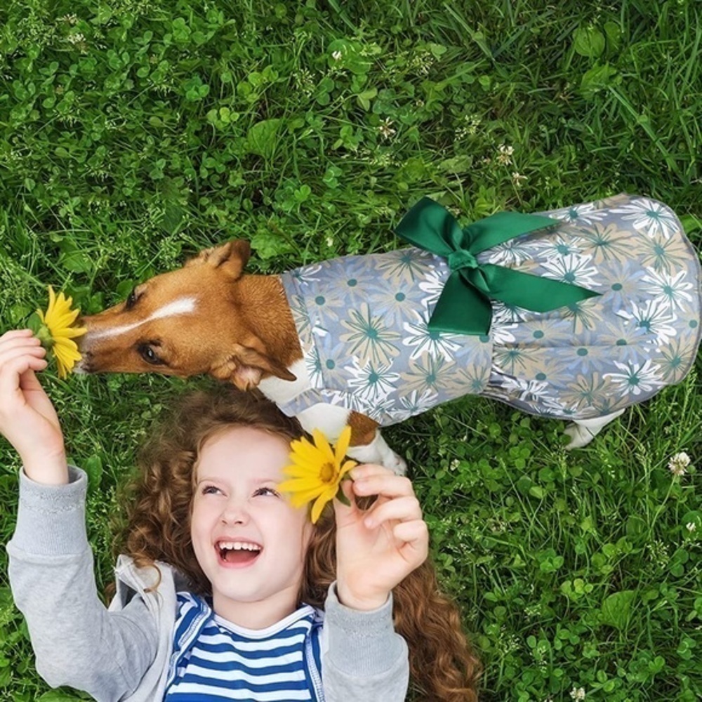 Small Dog Or Cat Floral Summer Dress With Bow Tie- NEW